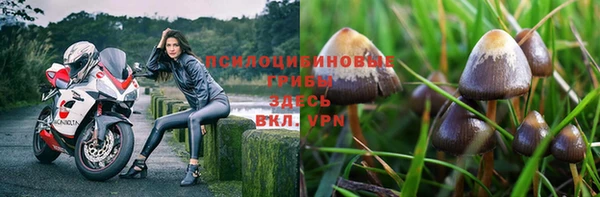 герыч Абаза