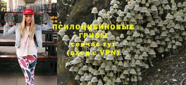 МДПВ Абинск