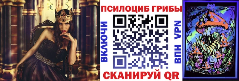 Галлюциногенные грибы ЛСД  площадка клад  Вологда  хочу  